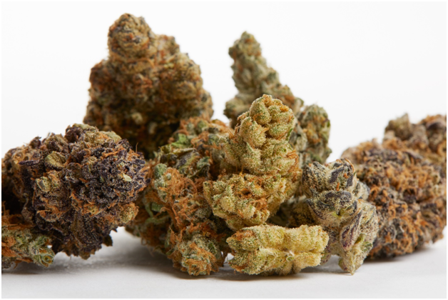 Learn How To Buy Best Organic CBD Cream