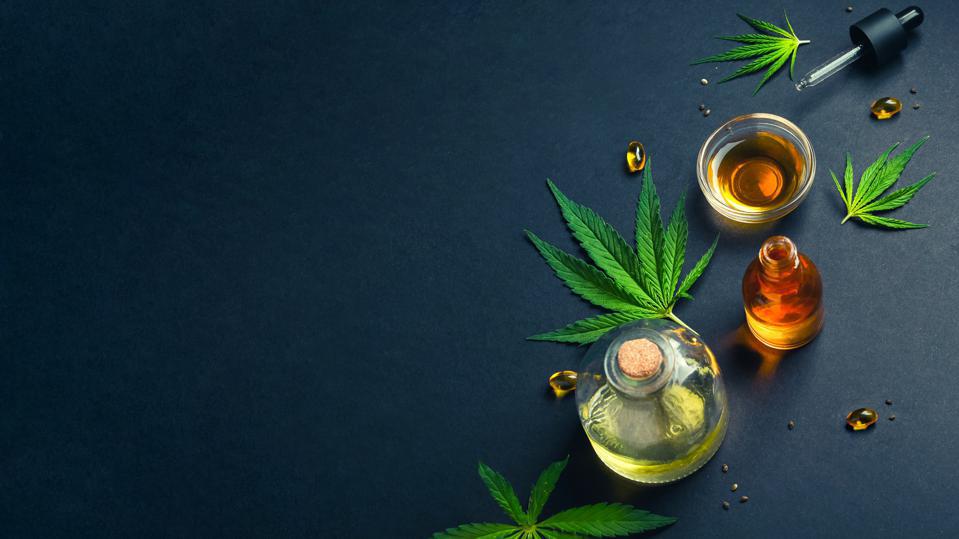 How to Get the Best of Hemp Nutrition in your Body