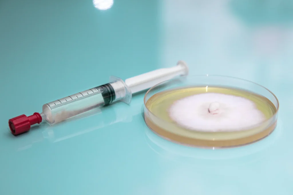 Choosing the Right Psilocybin Spore Syringe: A Responsible Approach to Cultivation